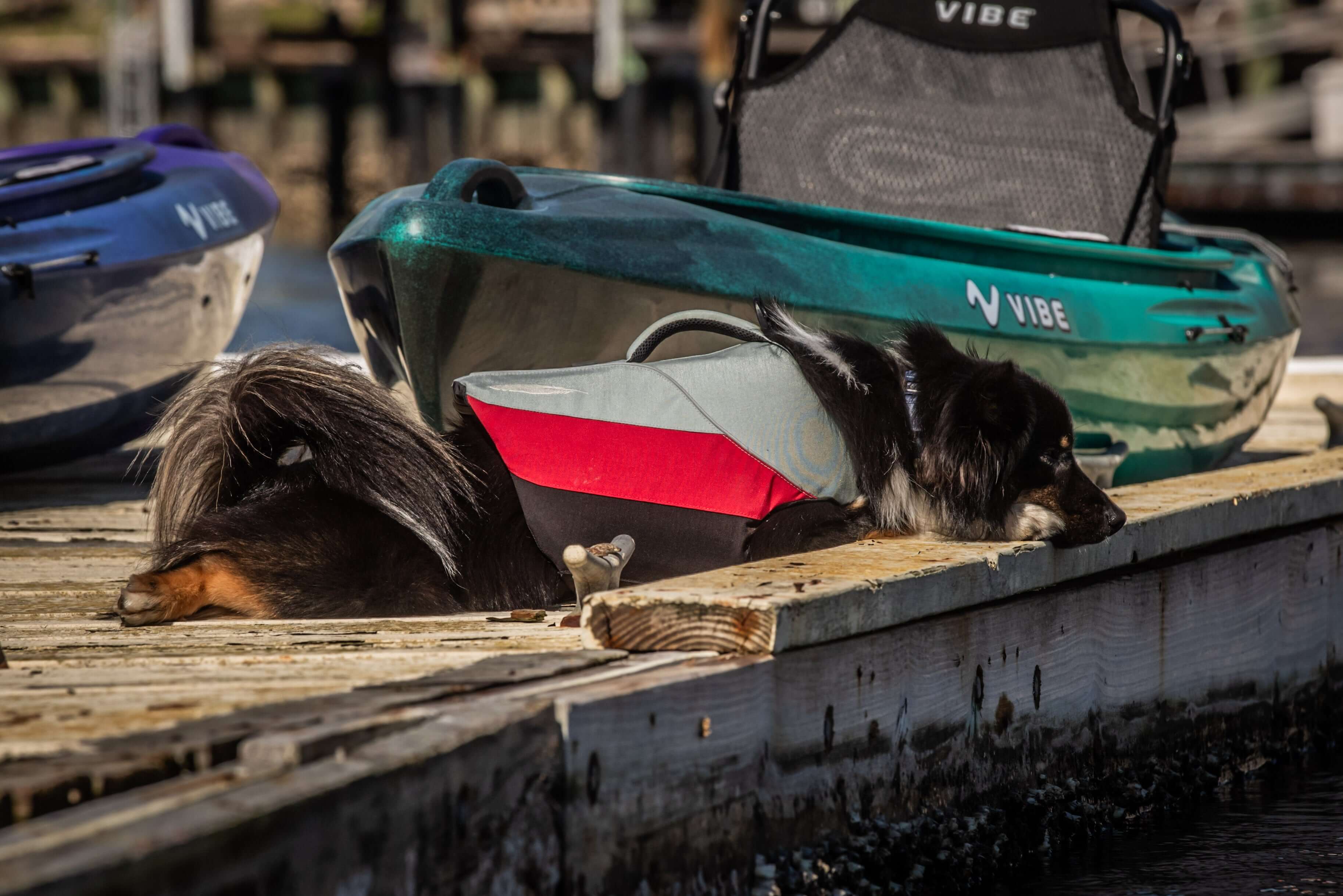 Vibe Kayak-Shaka 100