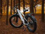 All Terrain/Mountain E-Bikes