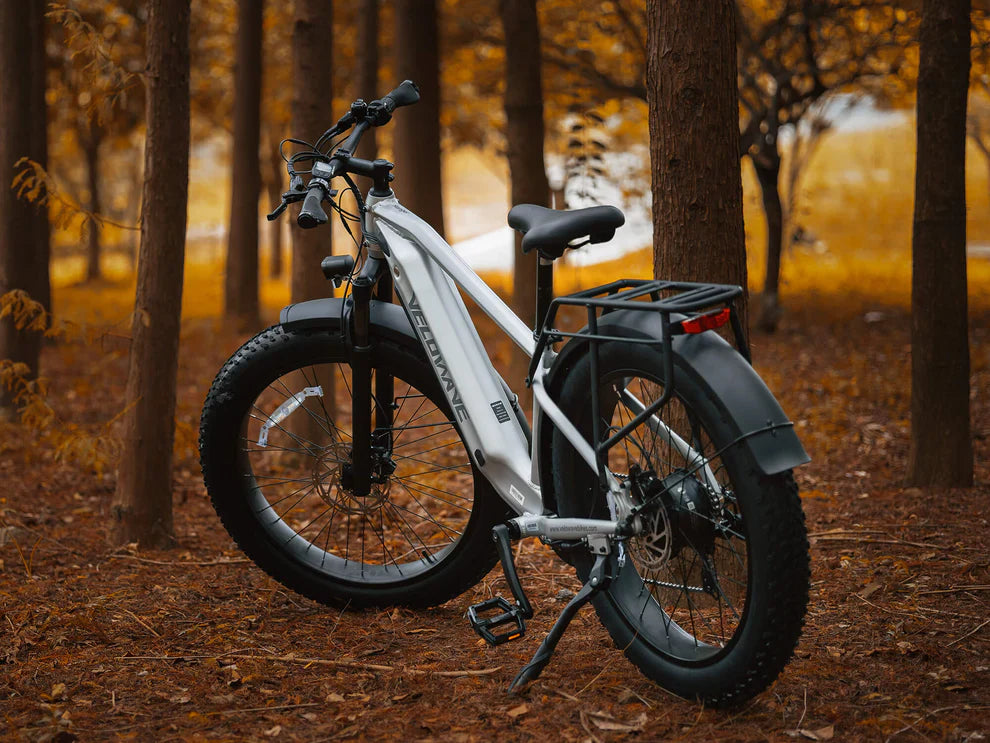 All Terrain/Mountain E-Bikes