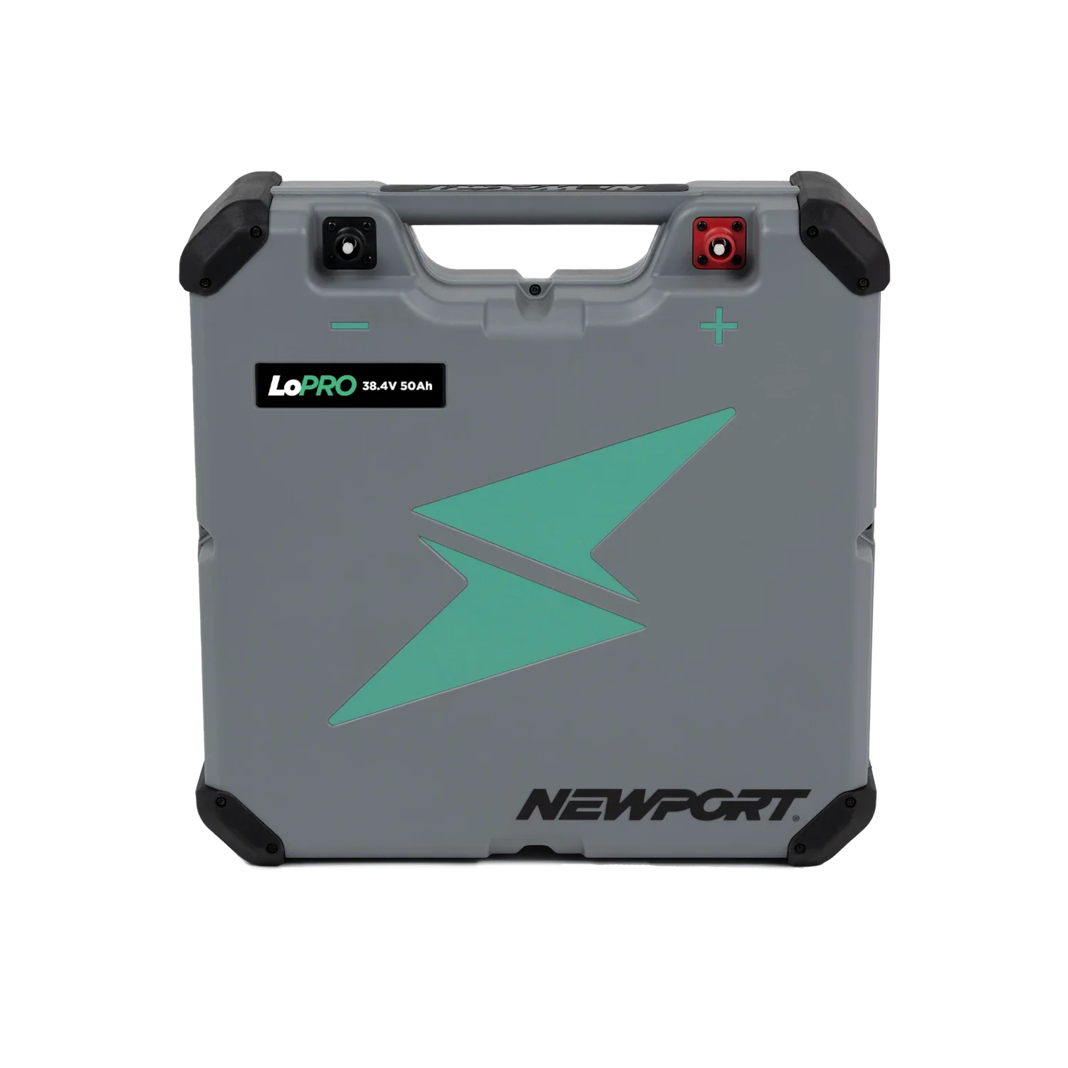 Newport NT300 Electric Outboard Motor,Standard 24.6 Length, Battery,Charger Package