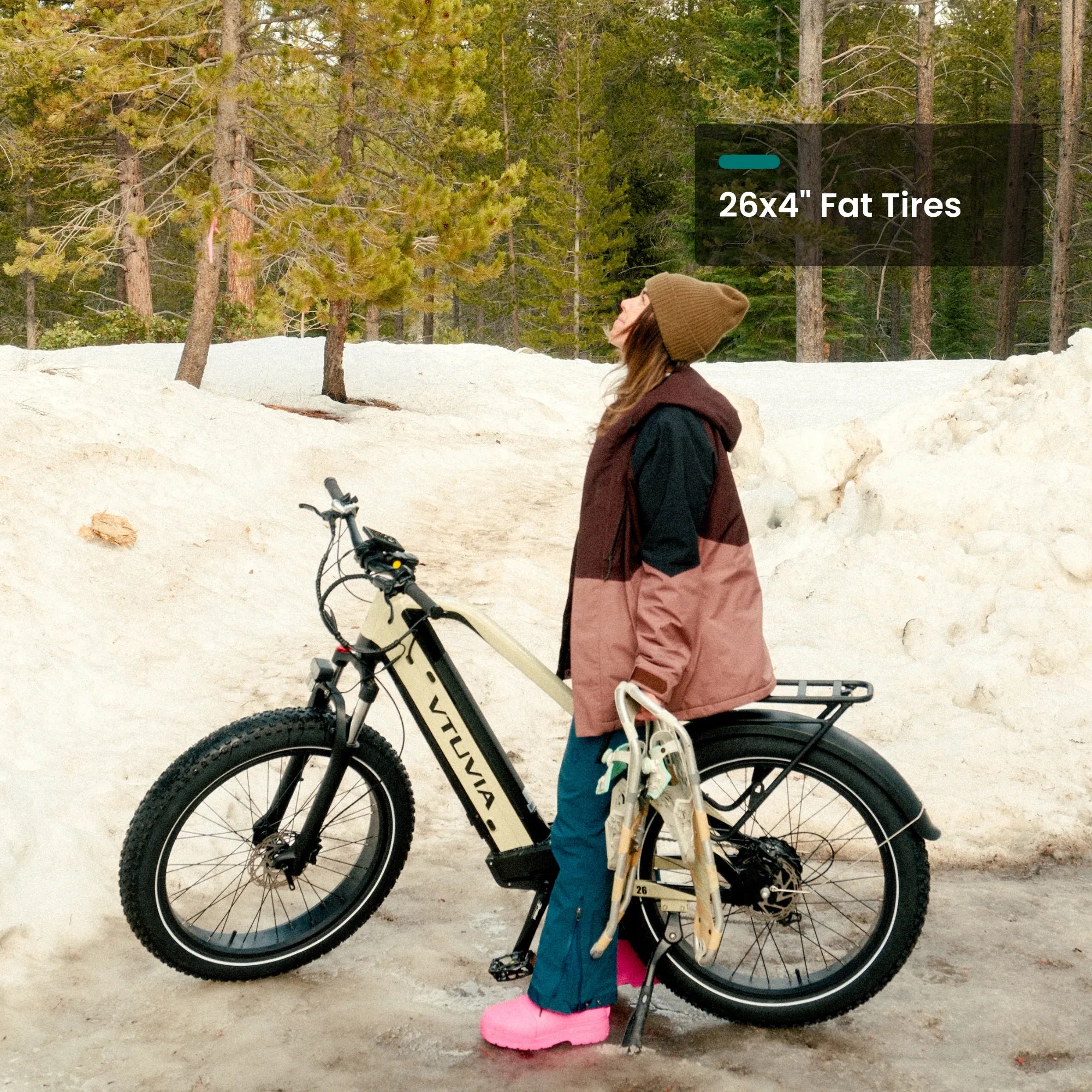 VTUVIA-Gemini All Terrain High Torque Ebike