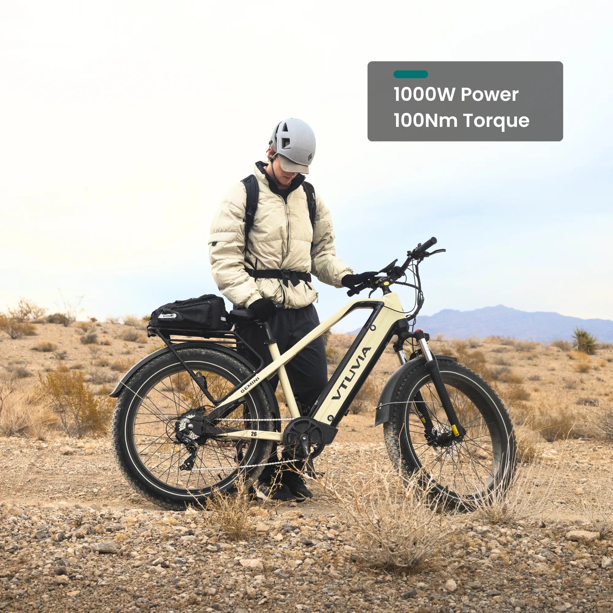 VTUVIA-Gemini All Terrain High Torque Ebike