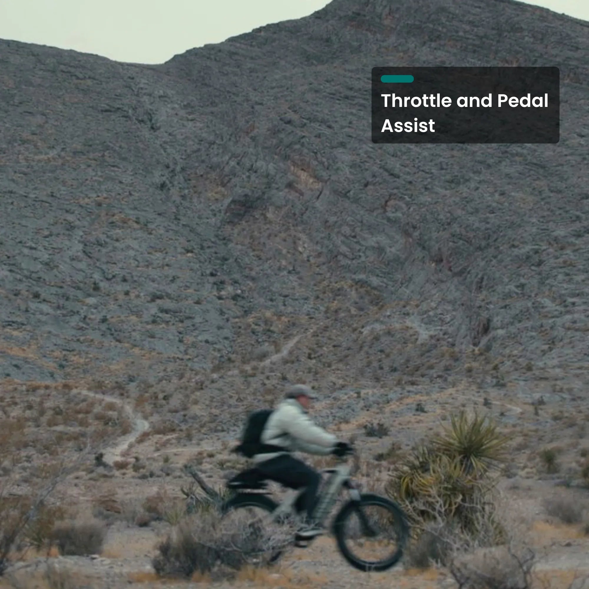 VTUVIA-Gemini All Terrain High Torque Ebike