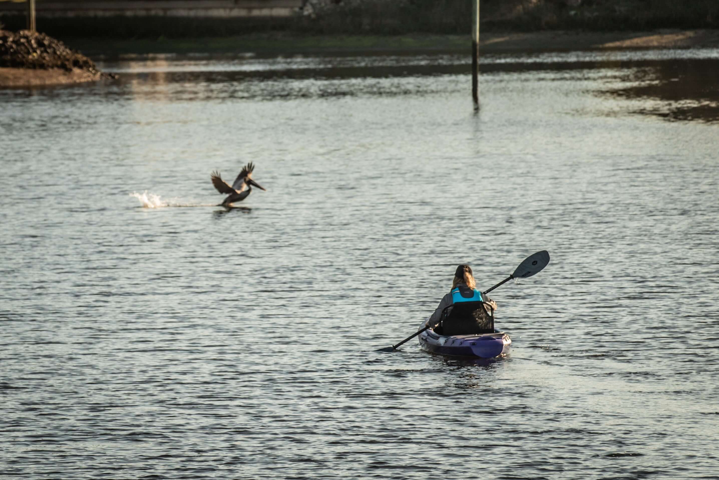 Vibe Kayak-Shaka 100