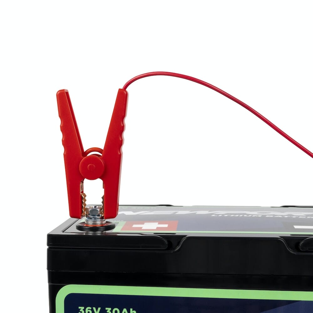 Newport 36V Battery Charger