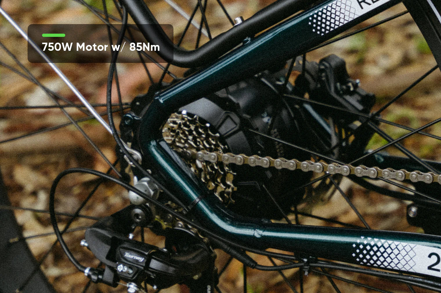 VTUVIA-Reindeer 2.0 All Terrain Step Through Ebike