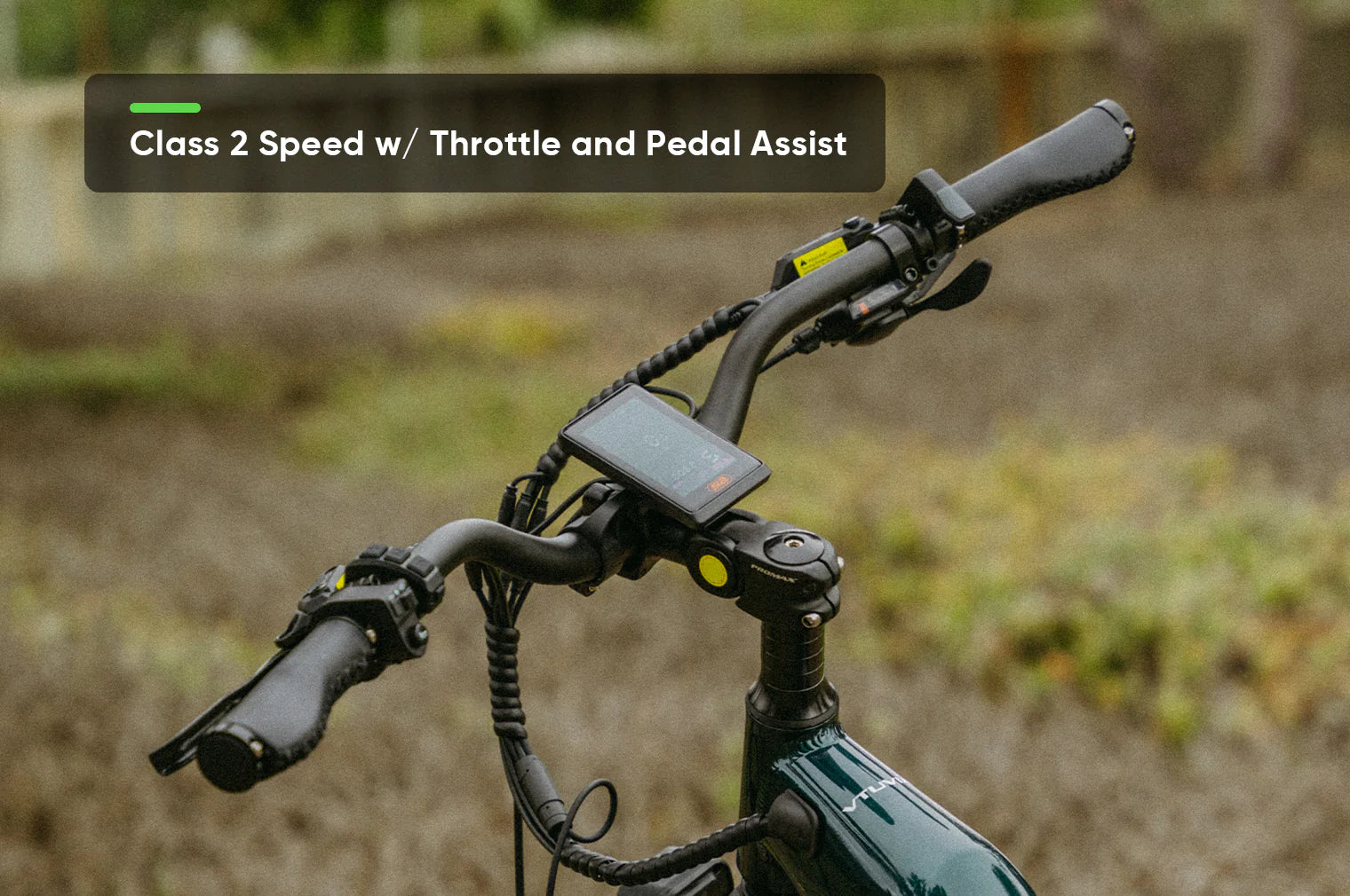 VTUVIA-Reindeer 2.0 All Terrain Step Through Ebike