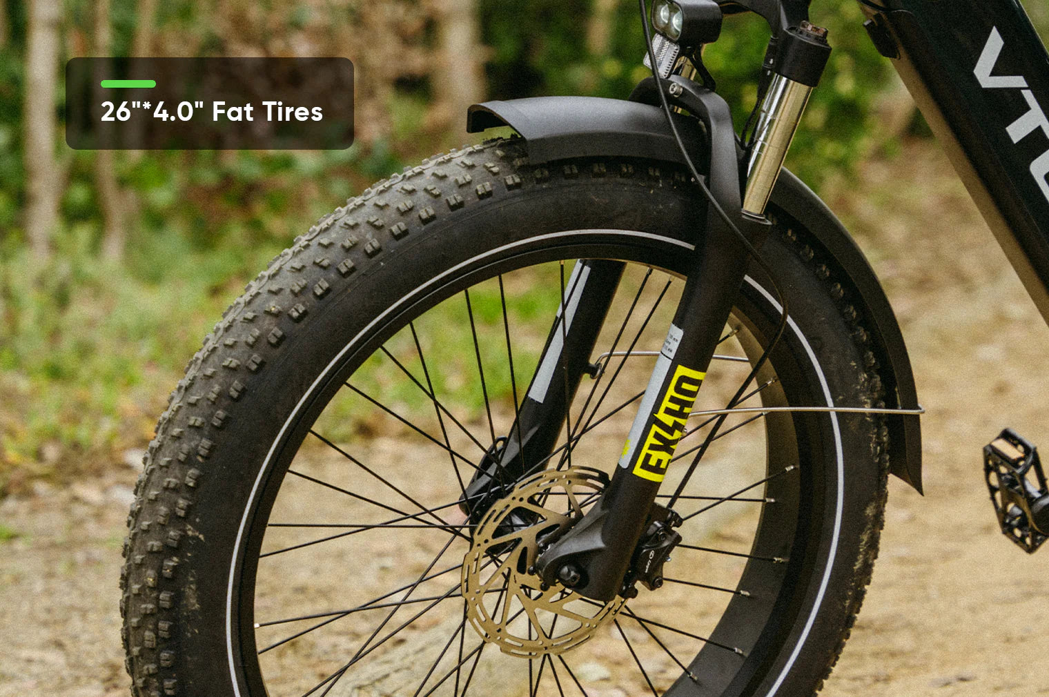 VTUVIA-Reindeer 2.0 All Terrain Step Through Ebike