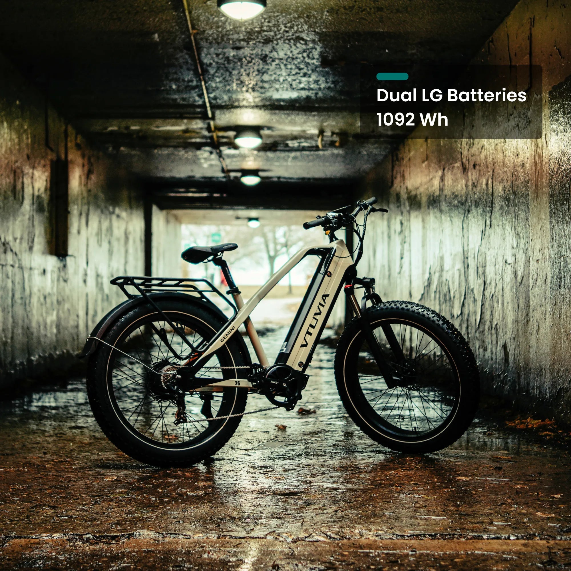 VTUVIA-Gemini All Terrain High Torque Ebike