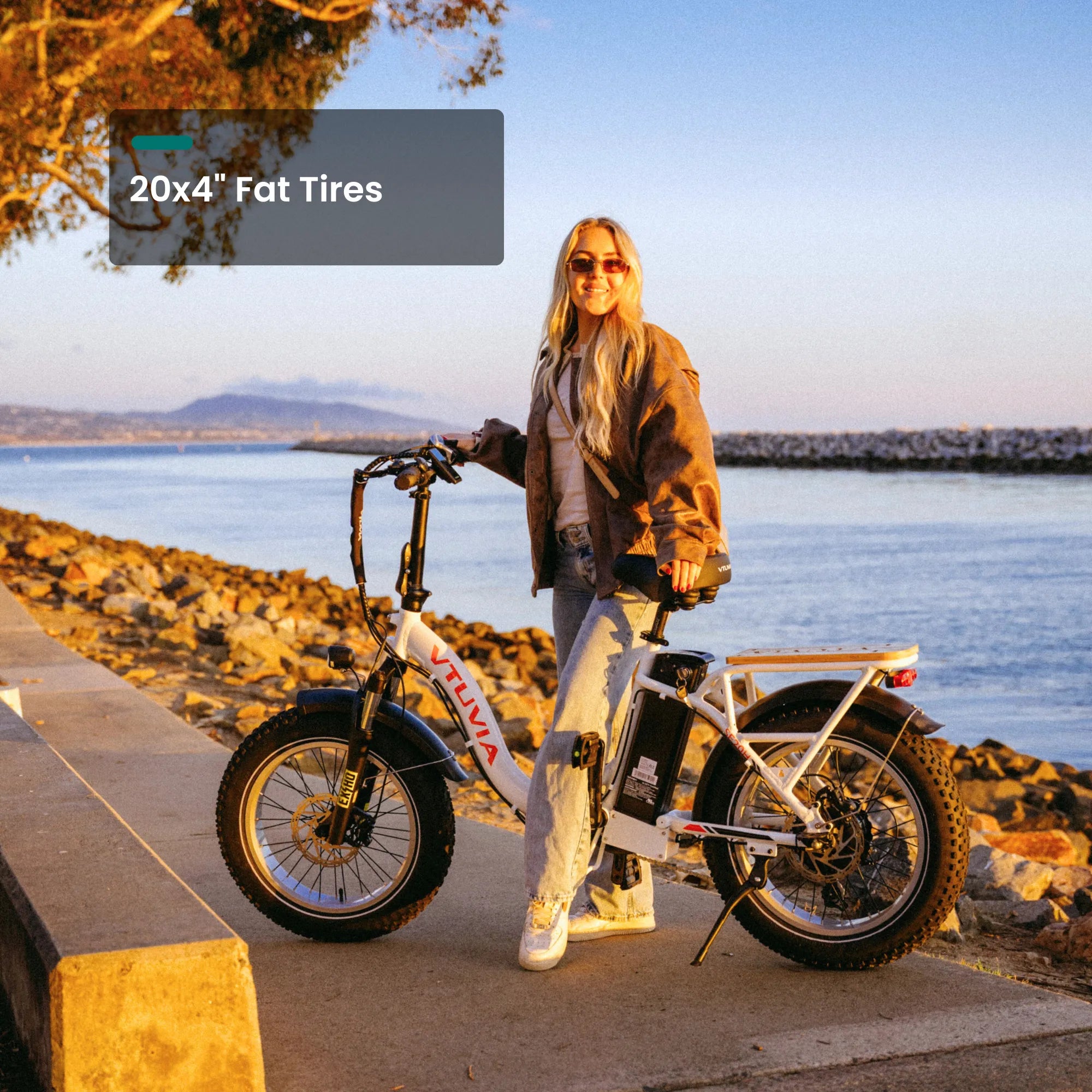 VTUVIA-SF20H Foldable Ebike